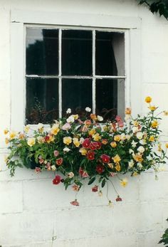 a window box filled with lots of flowers next to a white brick wall and windowsill