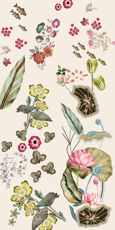 an assortment of flowers and leaves on a white background