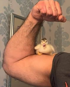 a man is holding his arm up to the camera with a small bird on top of him