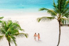 two people walking on the beach with palm trees in the foreground and blue water in the background