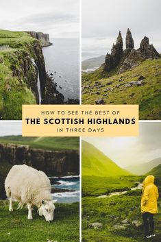 the scottish highlands with sheep grazing and people in yellow raincoats looking at them