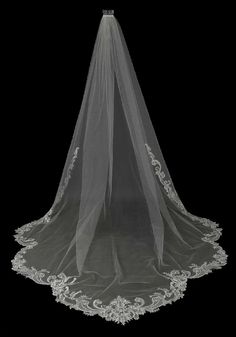 a wedding veil with an intricate lace edge