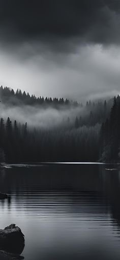 a black and white photo of trees in the distance with fog rolling over them on a lake