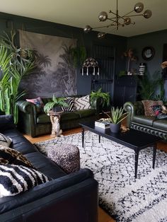 a living room filled with furniture and plants