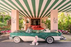 a green and white car parked in front of a building with a dog sitting next to it