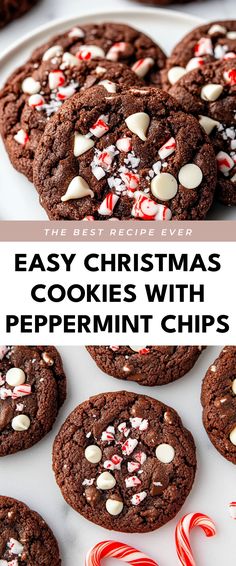 Image for Easy Christmas Cookies with Peppermint Chips Cookies With Andes Peppermint Chips, Peppermint No Bake Cookies, Recipes Using Andes Mint Chips, Ghiradelli Peppermint Bark Cookies, Lily's Peppermint Chips Recipes, Peppermint Chip Cookies Recipe, Recipes With Peppermint Chips, Peppermint Cocoa Cookies, Easy Chocolate Peppermint Cookies