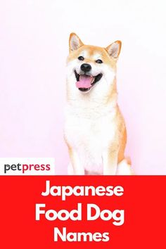 a dog sitting in front of a pink background with the words japanese food dog names