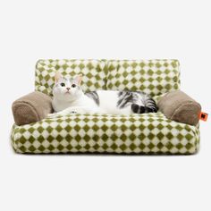 a cat laying on top of a green and white checkered couch with a brown pillow