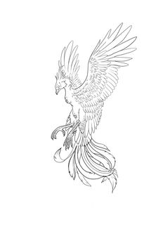 a drawing of a bird with wings spread