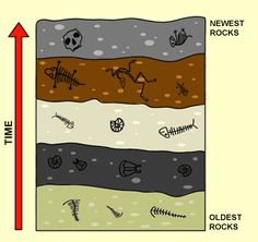 the layers of earth are labeled in red