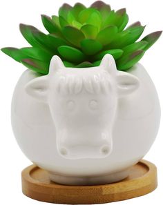 a white ceramic planter with a horse head on it's side and succulents in the center