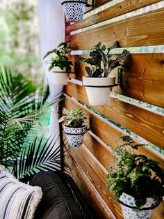 several potted plants are hanging on the side of a wooden wall next to a bench