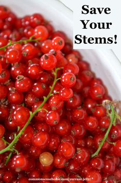 some red berries in a white bowl with the words save your stems on it's side