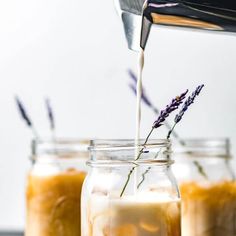 a person pouring milk into a jar filled with lavenders and lavender flowers in it