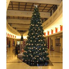 a large christmas tree in the middle of a building