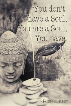 a buddha statue with the quote you don't have a soul you are a soul you