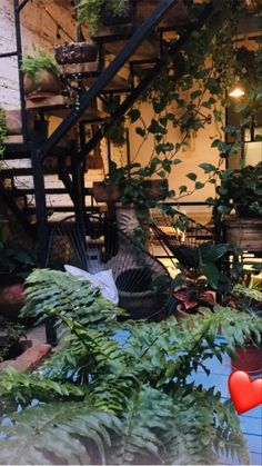 the stairs are covered with plants and potted plants