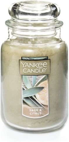 yankee candle in a glass jar with an air plant on the front and bottom lid