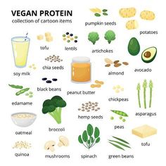 a poster with the words vegan protein written in different languages, including broccoli,