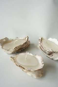 three open oysters sitting next to each other on a white counter top with one candle in the middle