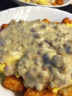 a white plate topped with tater tots covered in gravy and cheese