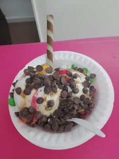 an ice cream sundae on a paper plate with chocolate chips and a candy cane