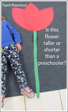 Is this flower taller or shorter than a preschooler by Teach Preschool Flower Activities, Tools Theme, Teach Preschool, Plant Study, Spring Preschool