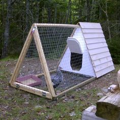 a chicken coop in the middle of a forest