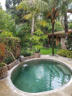 an outdoor hot tub surrounded by trees and plants in a backyard area with stone steps leading up to the pool