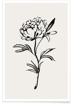 a black and white drawing of a flower