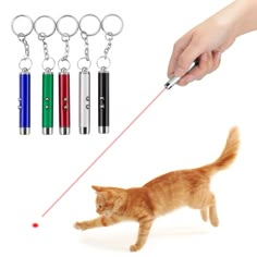 an orange cat walking on a red string with several different colored keys attached to it