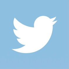 a white twitter logo on a blue background