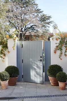 an entrance to a home with potted plants on either side and a door in the middle