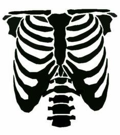 an image of a skeleton that is in the shape of a human torso and chest