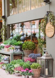 many potted plants are on display in front of a store