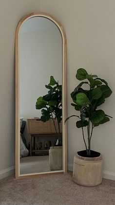 a potted plant sitting next to a large mirror