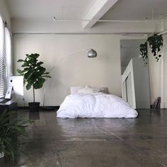 a white bed sitting under a window next to a green plant in a living room