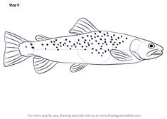 a black and white drawing of a fish with spots on it's body, in the water