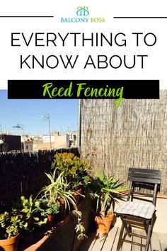 an outdoor patio with potted plants on it and the words everything to know about red fencing