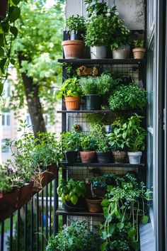 A lush small balcony garden thrives on a narrow balcony, showcasing a variety of potted plants and herbs arranged on tiered shelves. Plant Balcony Ideas Small Spaces, Covered Balcony Ideas Apartment, Plants In Balcony Ideas, Climbing Plant Balcony, Small Garden Aesthetic Ideas, Balcony Railing Garden, Front Porch Vertical Garden, Small Balcony Ideas Garden, Balcony With Plants Ideas