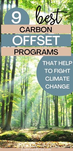 Picture of sunlight coming trees in forest with text overlay 9 Best Carbon Offset Programs That Help to Fight Climate Change Teaching Sustainability, Climate Adaptation Urban Design, Carbon Emission, Climate Adaptation, Eco Friendly Travel, Natural Parenting, Green Business, Energy Projects