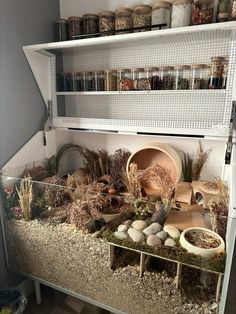 a shelf filled with lots of plants and rocks