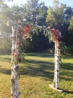 two white birch trees decorated with red flowers and greenery in the middle of a grassy area