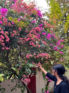 a woman is reaching for pink flowers on a tree