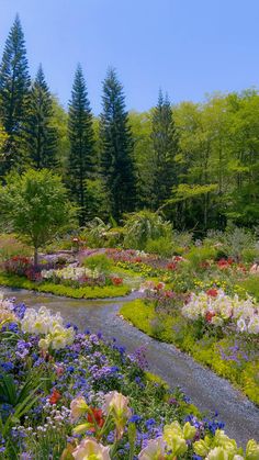 a garden filled with lots of flowers next to a lush green forest covered in trees