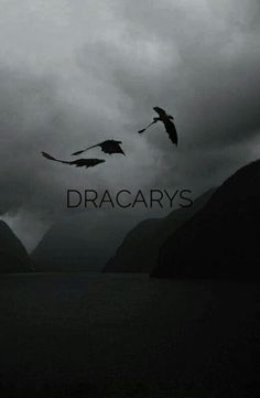 two birds flying in the sky over water under a cloudy sky with words that read dracaryss