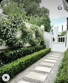 a white fence and some bushes in front of it