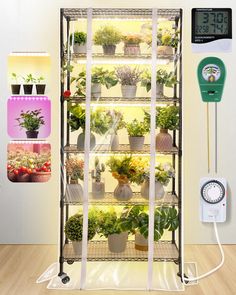 a display case with plants and timers on it