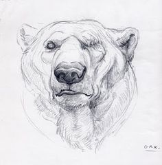 a drawing of a bear's head with one eye open and the other half closed