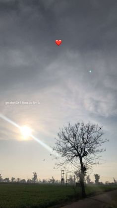 a lone tree on the side of a road with a heart shaped balloon in the sky